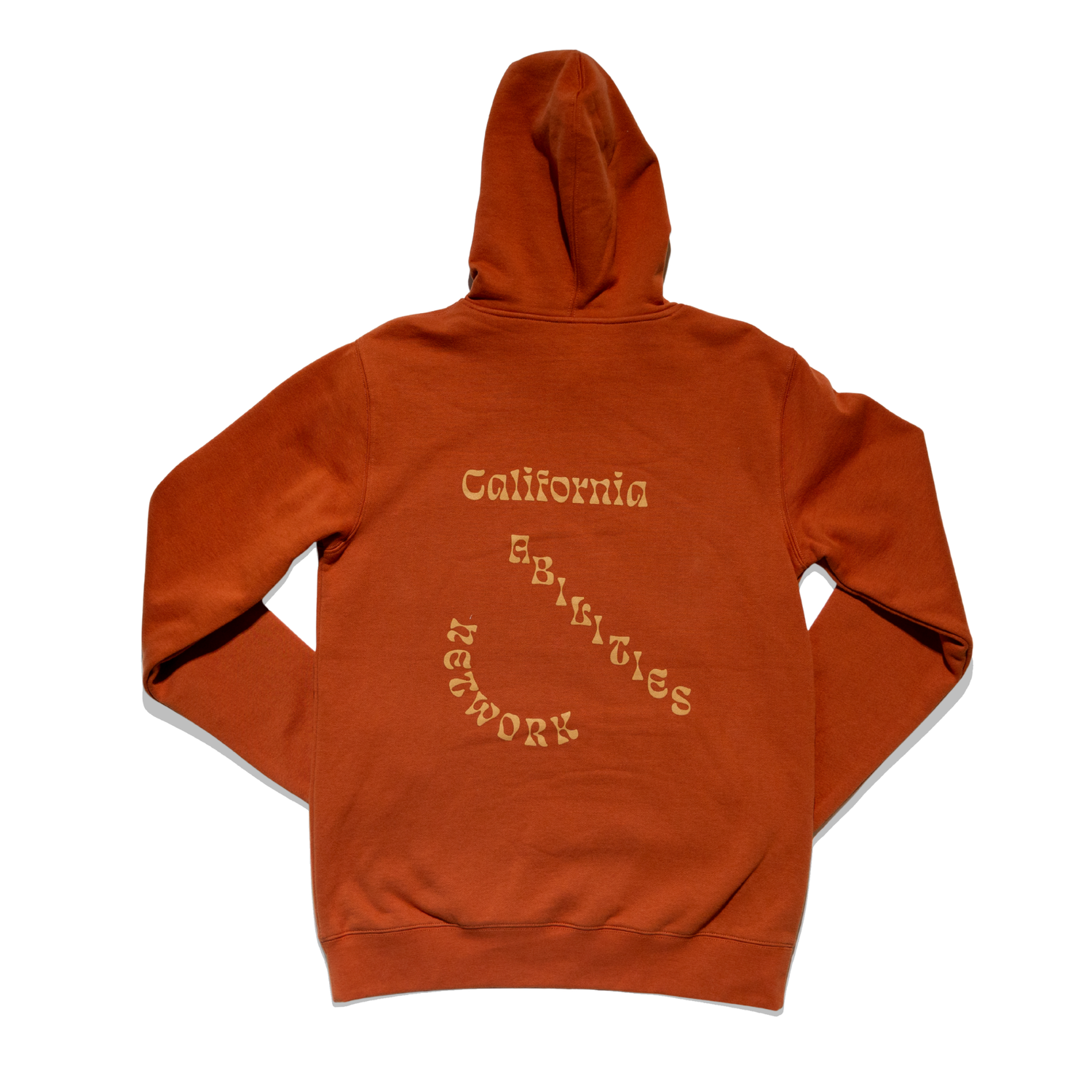 Fun Font Logo Hoodie