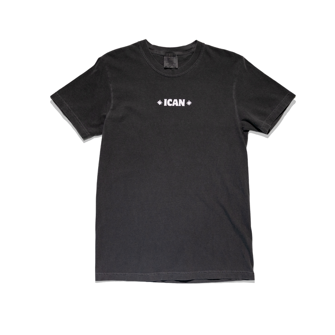Support Educate Advocate Standard Tee