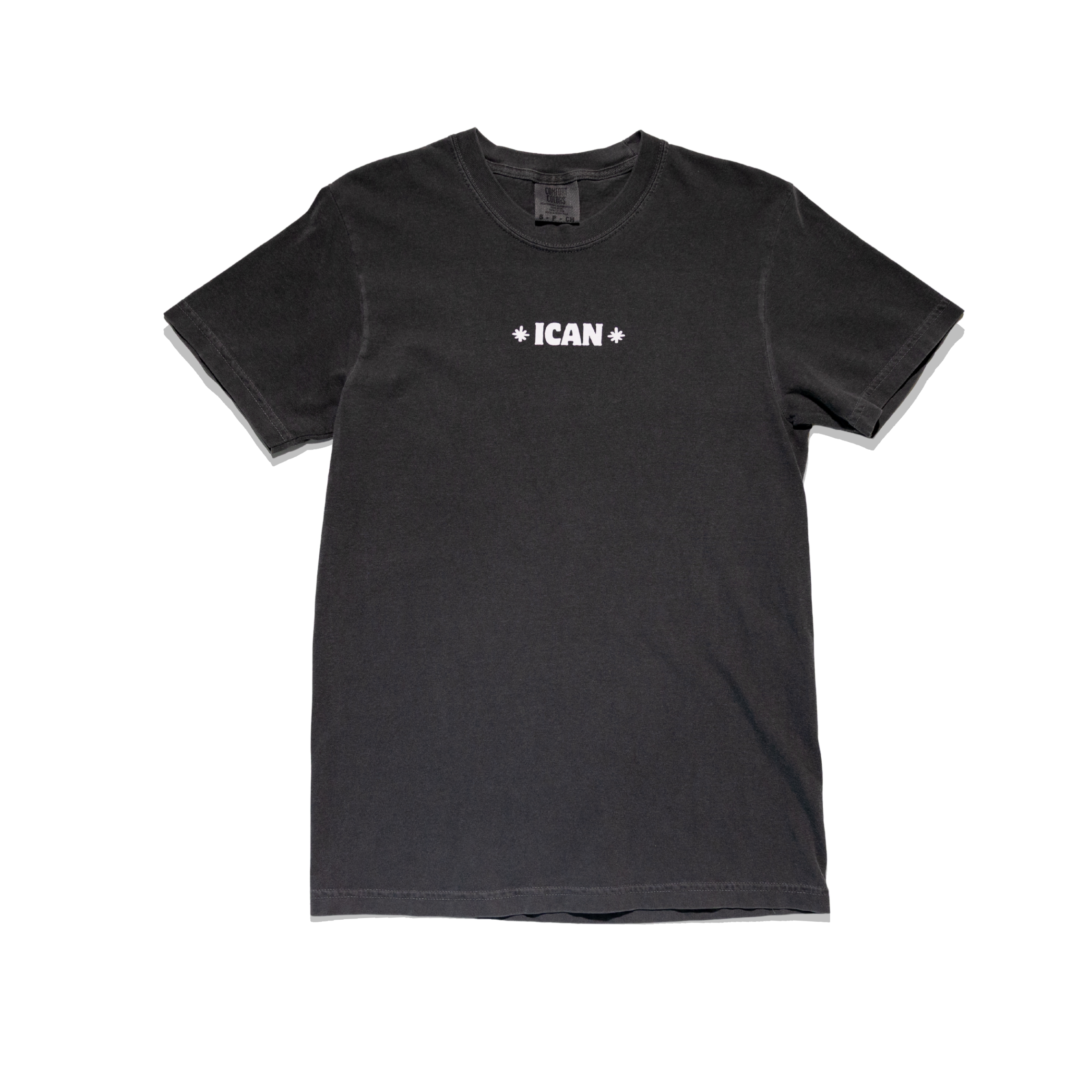 Support Educate Advocate Standard Tee